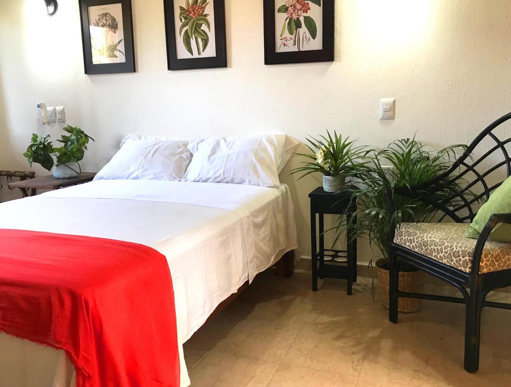 מלון לו דה מרקוס Casa Botanica מראה חיצוני תמונה
