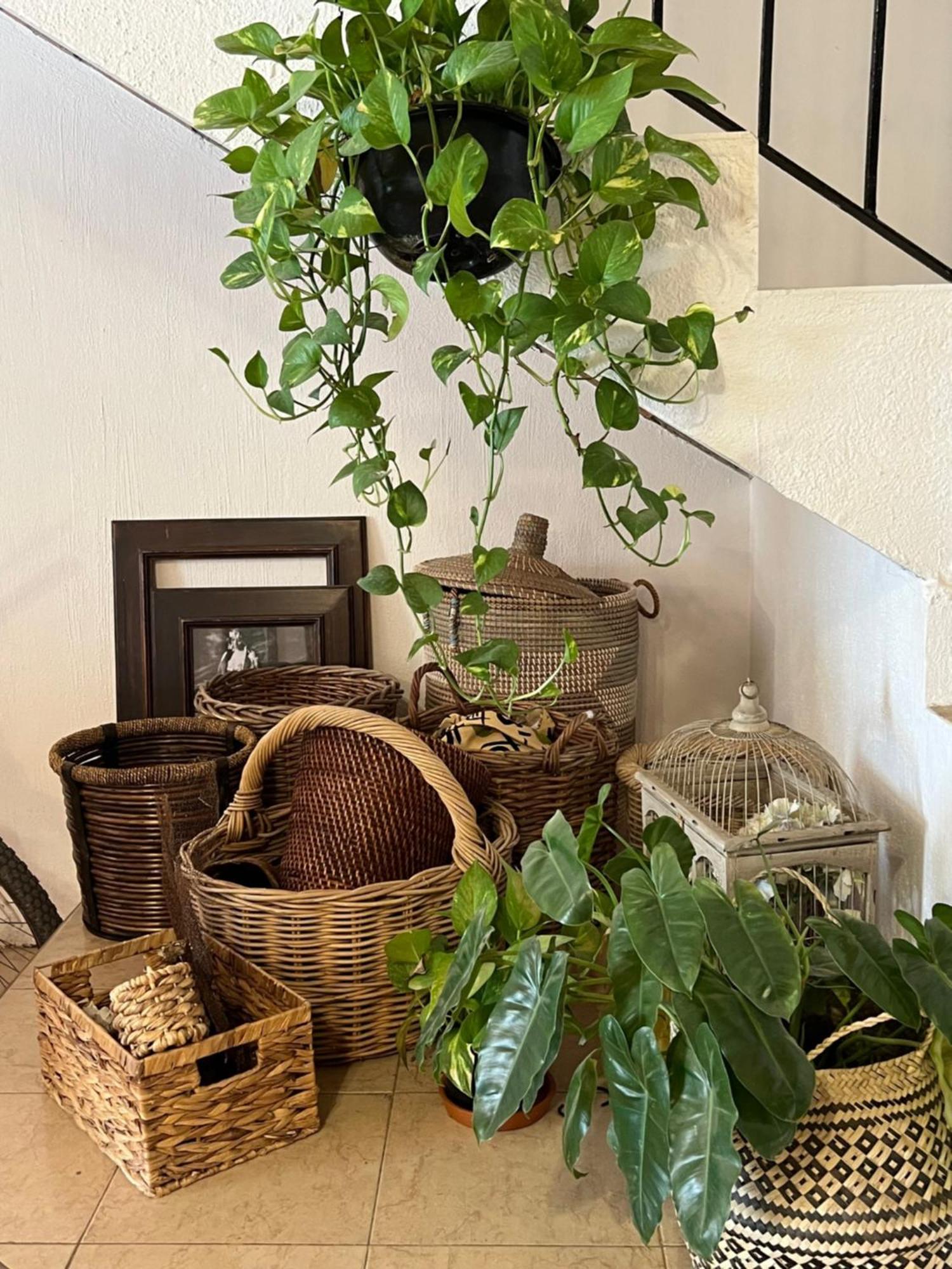 מלון לו דה מרקוס Casa Botanica מראה חיצוני תמונה