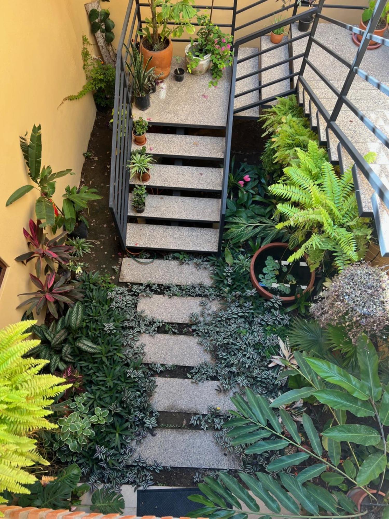 מלון לו דה מרקוס Casa Botanica מראה חיצוני תמונה