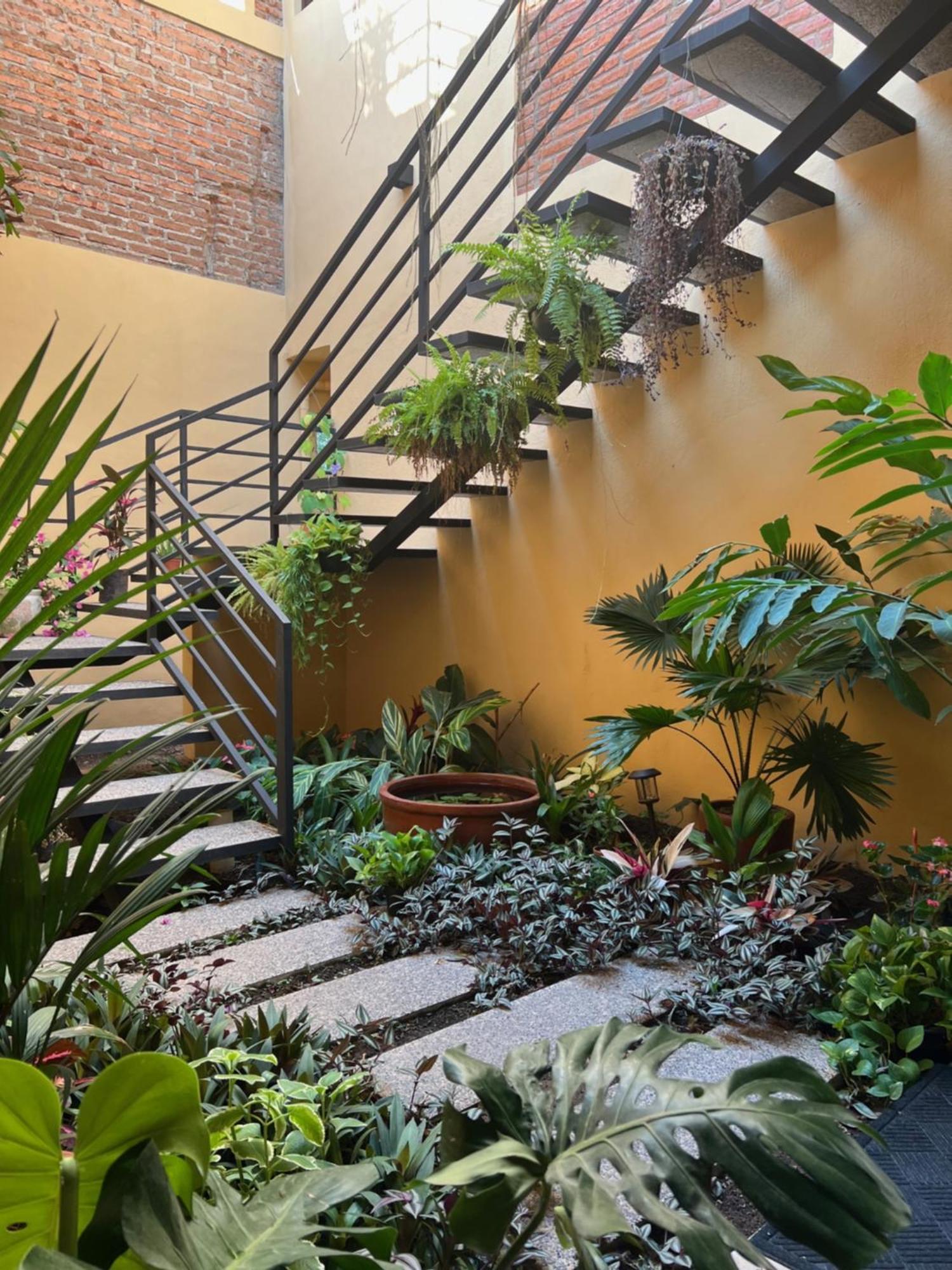 מלון לו דה מרקוס Casa Botanica מראה חיצוני תמונה
