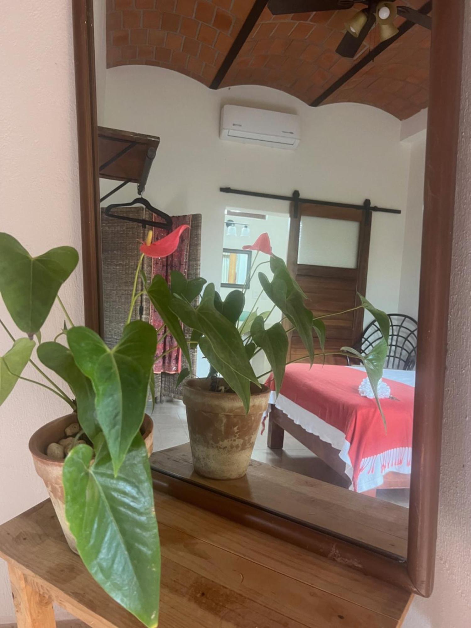 מלון לו דה מרקוס Casa Botanica מראה חיצוני תמונה