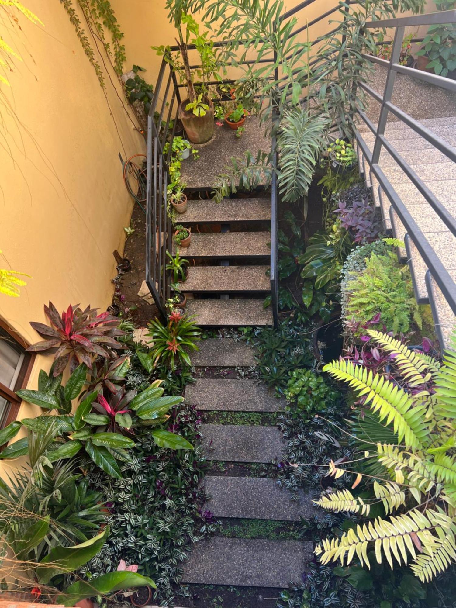 מלון לו דה מרקוס Casa Botanica מראה חיצוני תמונה